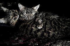 buddy and sweetie. photoshop. 2009 (art school portfolio)