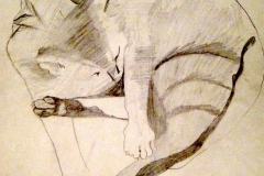goodyear (portrait of the artist's cat). pencil. 1990.